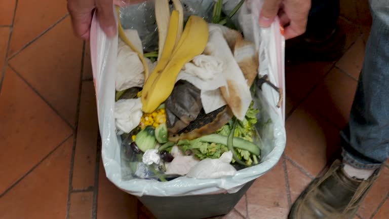 Best Garage Cleanout  in North Wantagh, NY