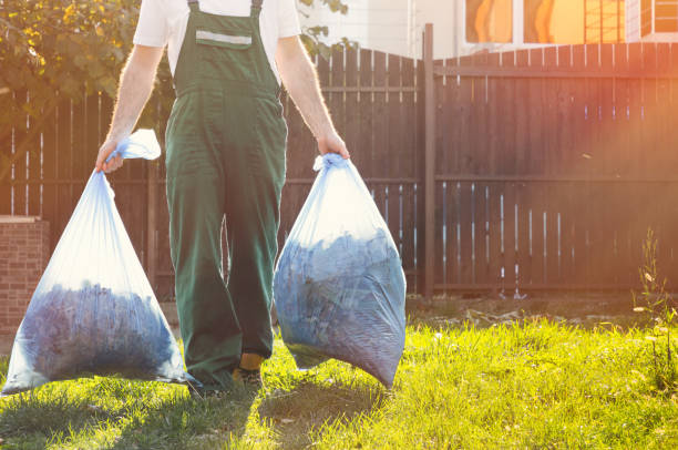 Best Shed Removal  in North Wantagh, NY
